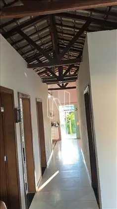  Circulação