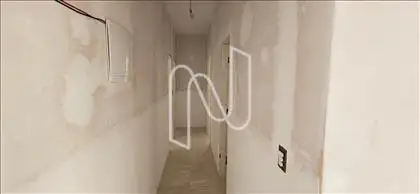 Circulação 