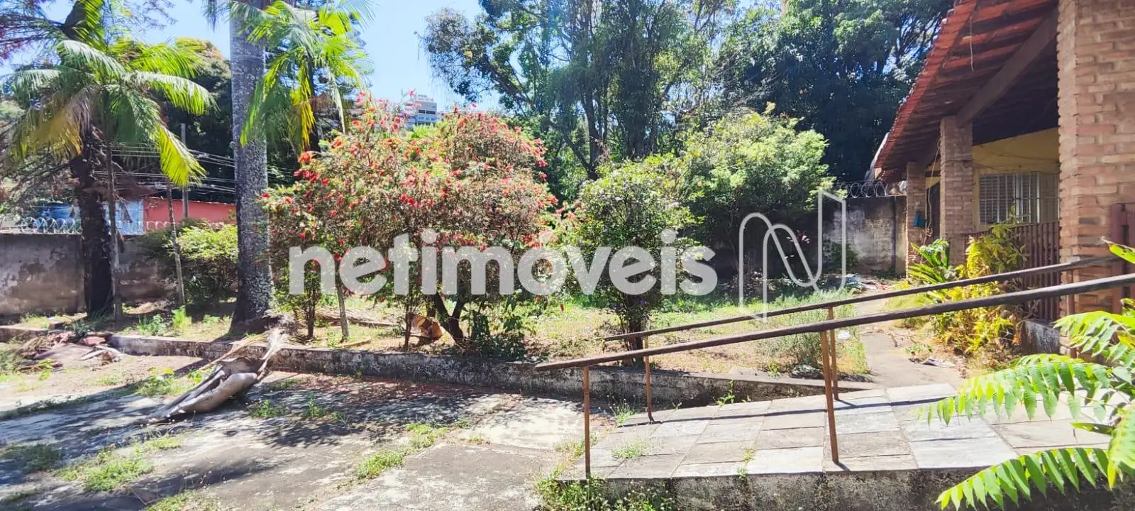 Frente da casa Jardim