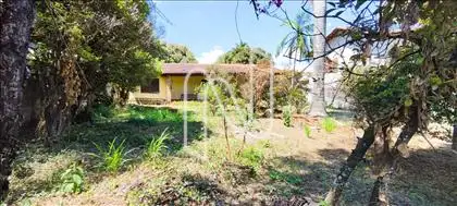 Jardim fundos