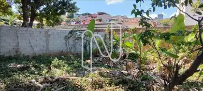 Quintal fundos