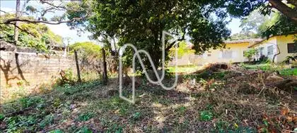 Quintal fundos