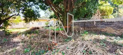 Quintal fundos