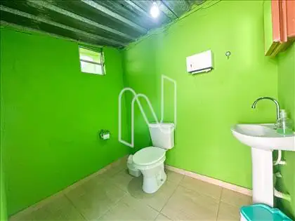 Lavabo