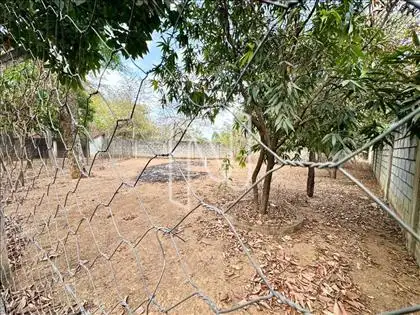 Área livre com Pomar