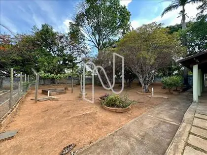 Área livre com Pomar 