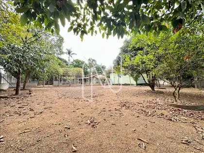 Área livre 