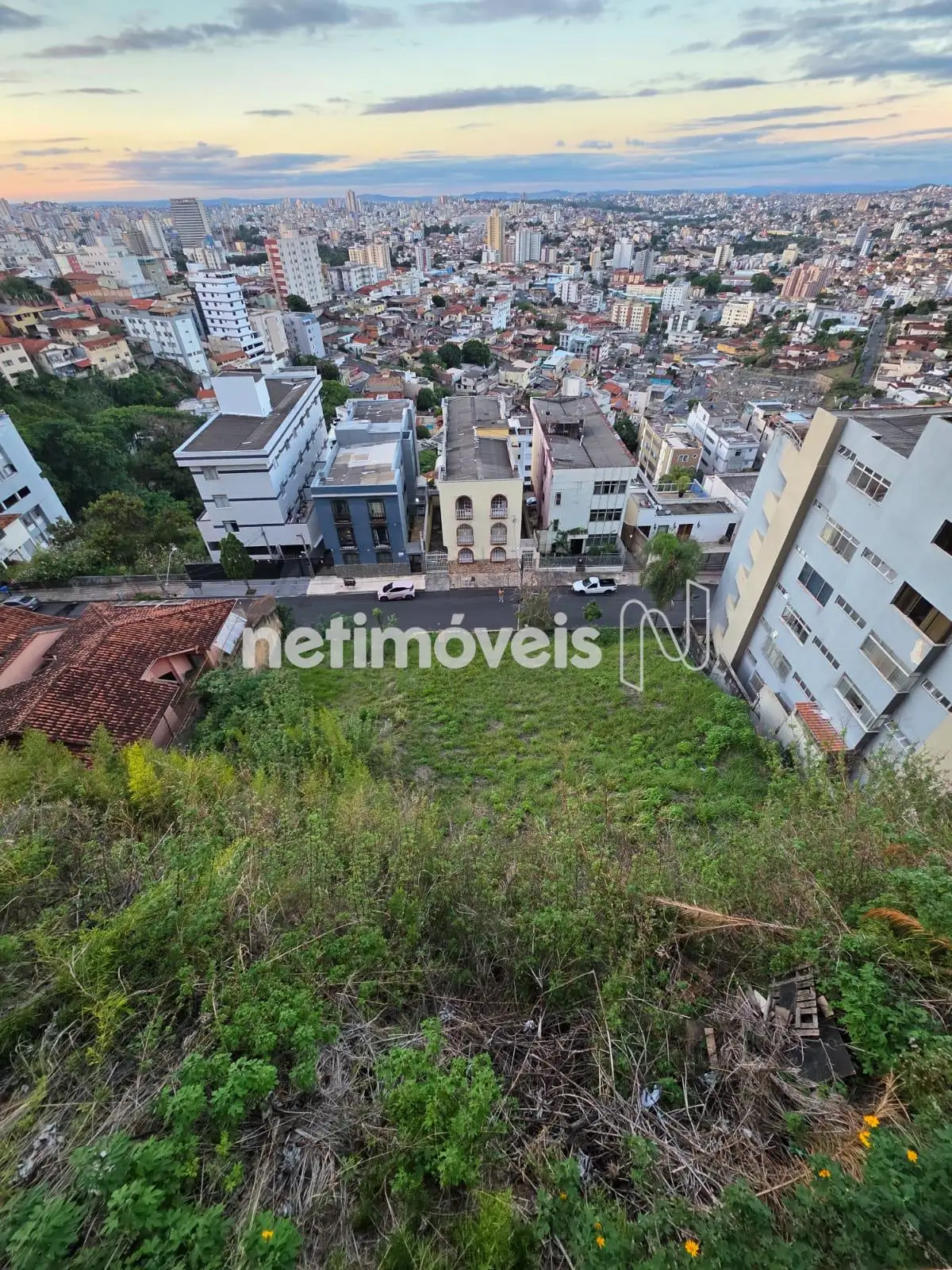 terreno