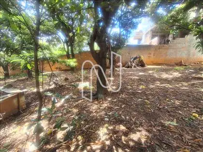 Lado Esquerdo 