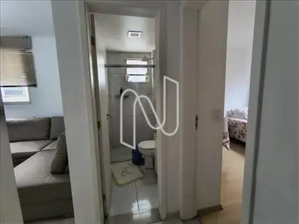  Circulação