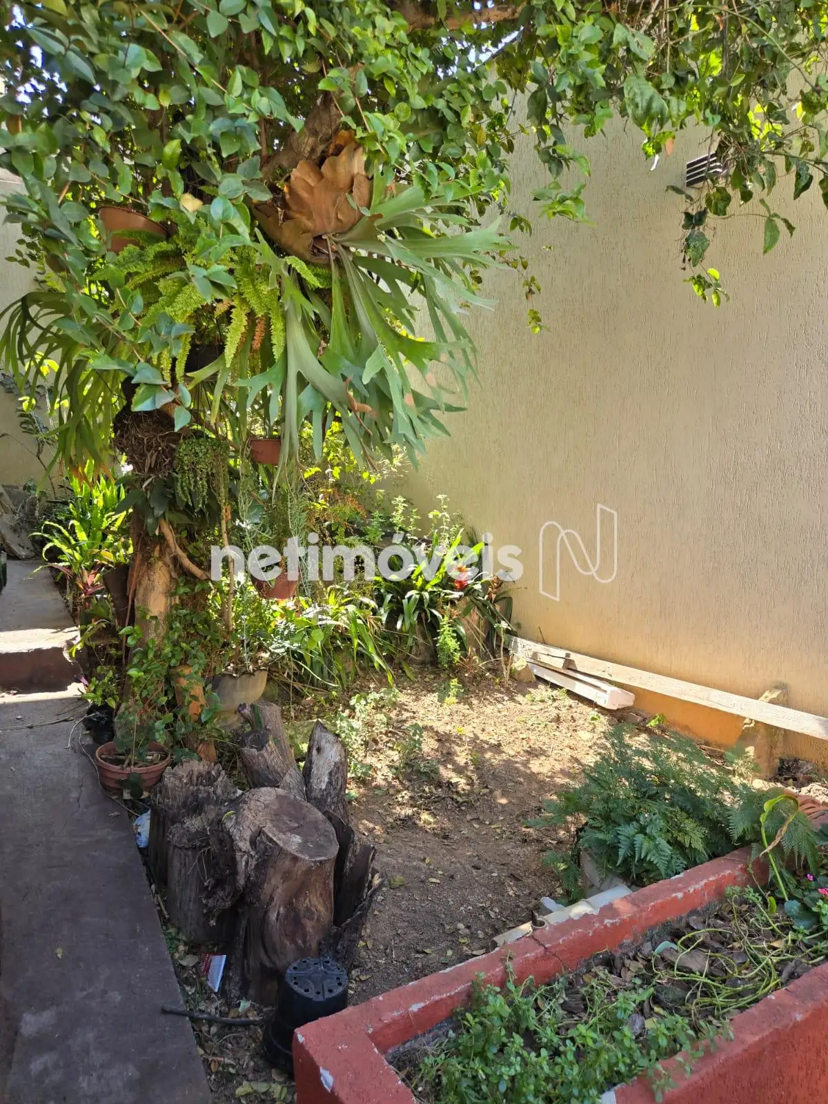 Área externa- Jardim