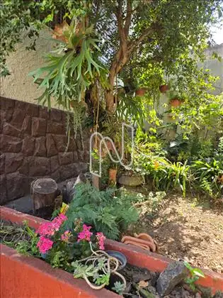 Área externa - Jardim 