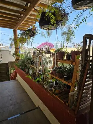 Área externa - Jardim  