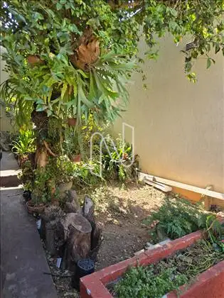 Área externa - Jardim 