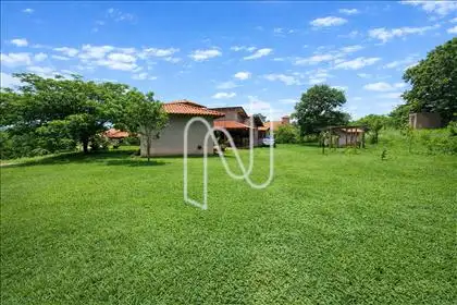 Jardim fundos 