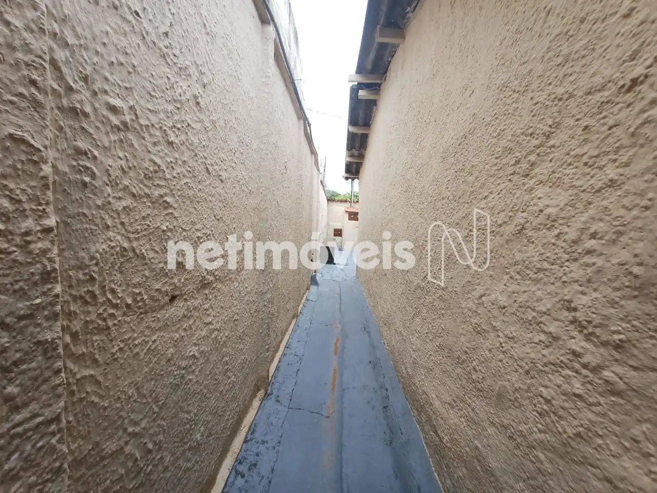 Circulação externa 