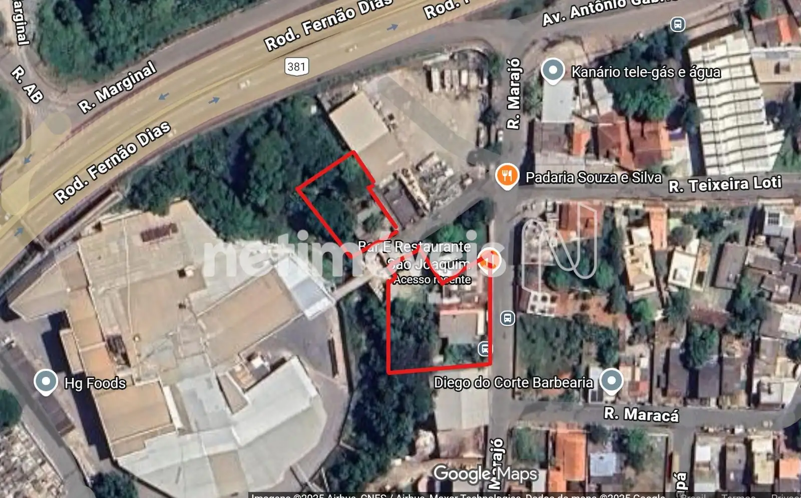  Lote