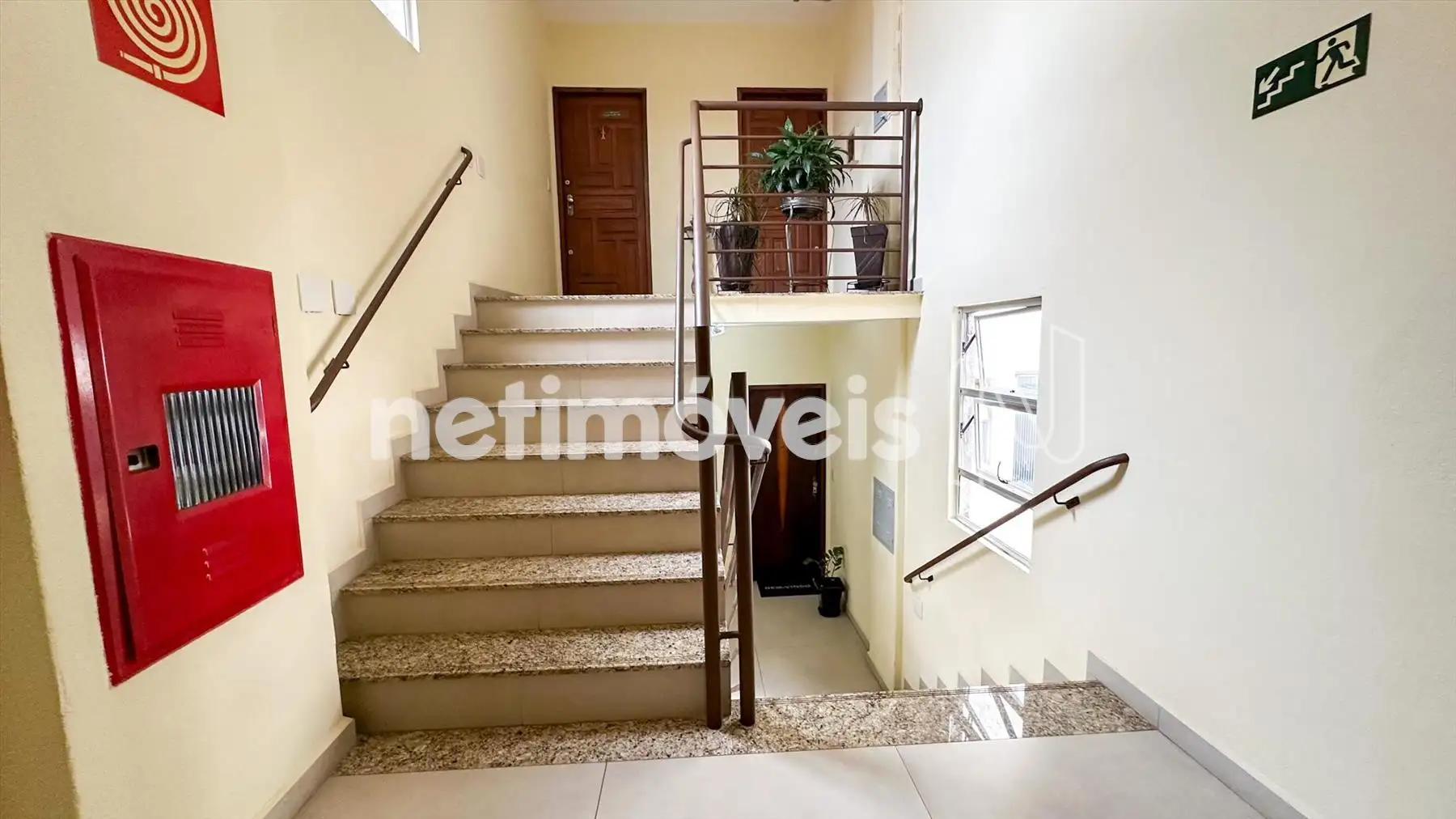 Circulação externa