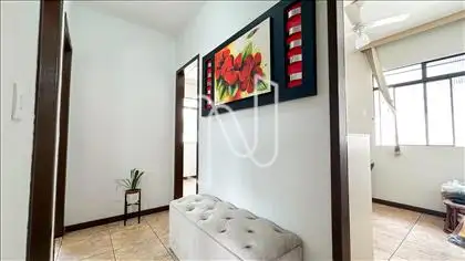 Circulação 