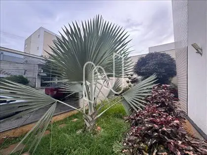 Jardim 