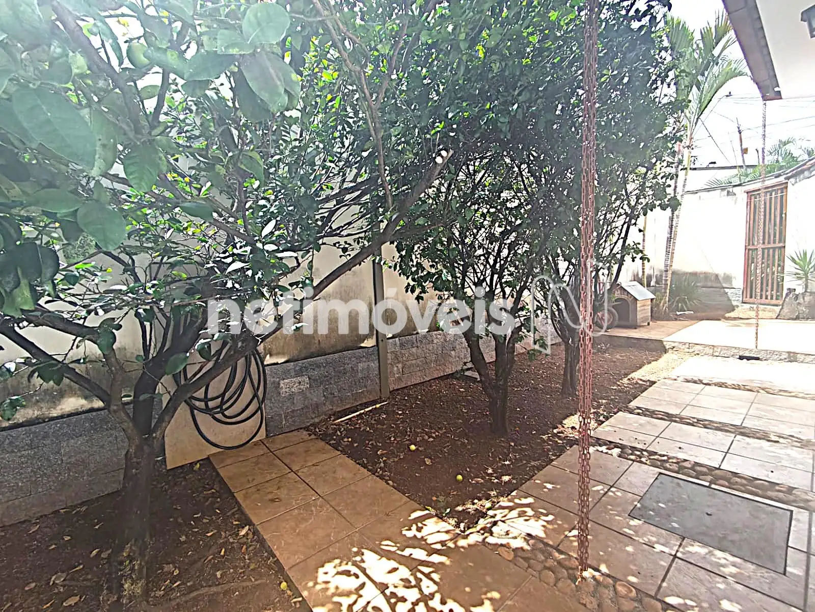 CIRCULAÇÃO EXTERNA