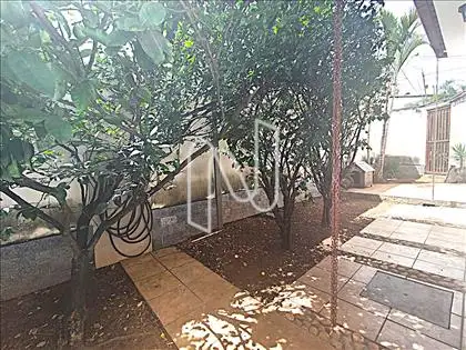 CIRCULAÇÃO EXTERNA 