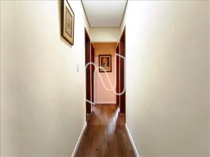 Circulação 