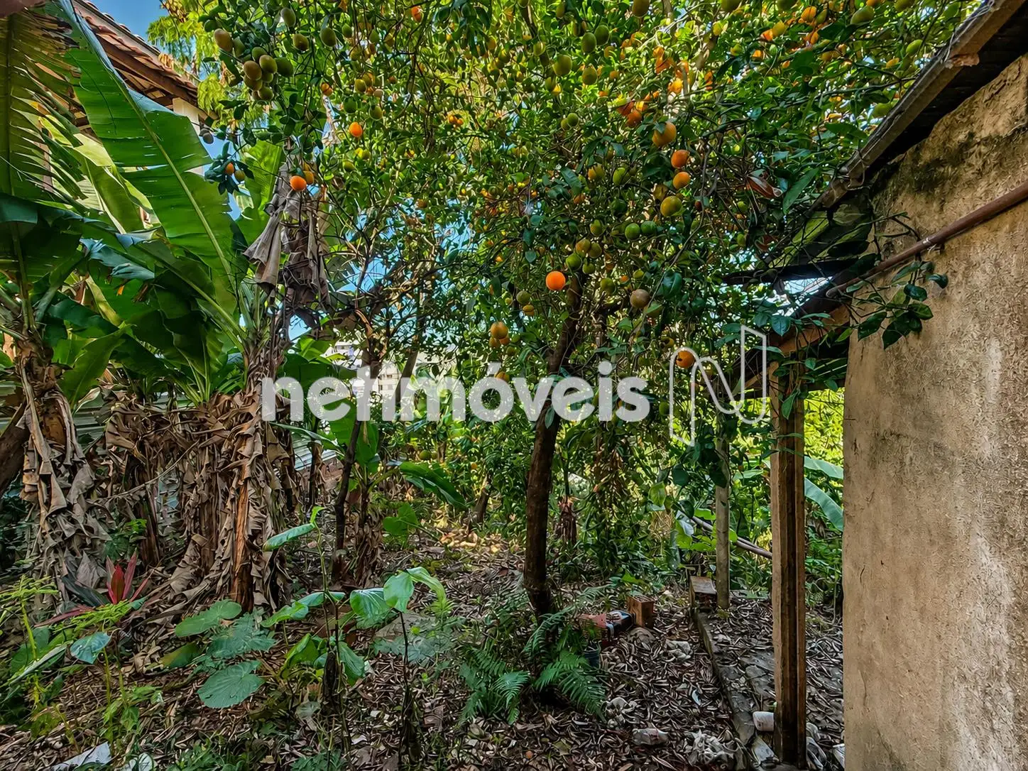 PARTE DO LOTE ATRÁS DA CASA