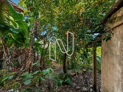  PARTE DO LOTE ATRÁS DA CASA