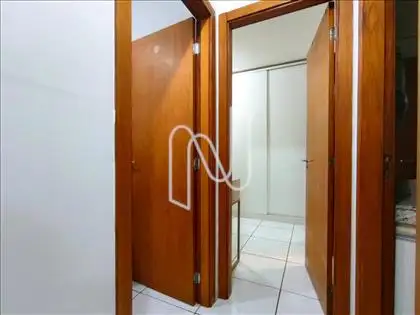 Circulação