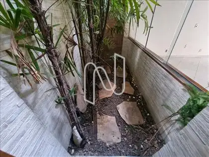 Jardim de Inverno 