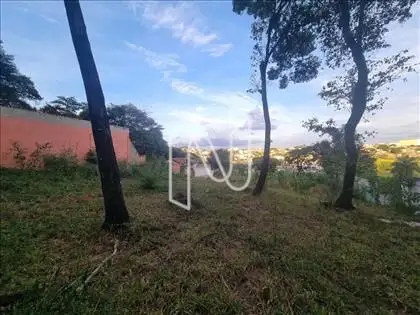  Lote  
