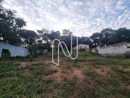  Lote  