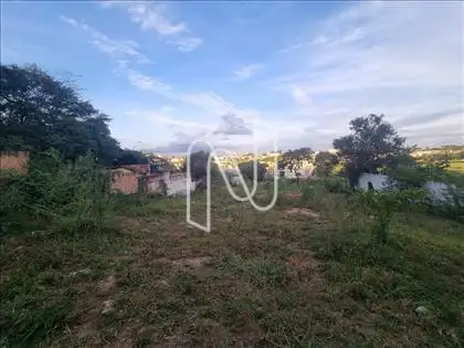   Lote 