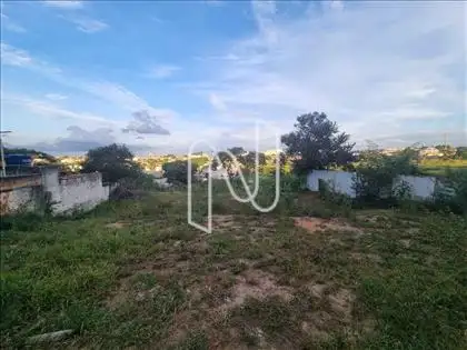  Lote  