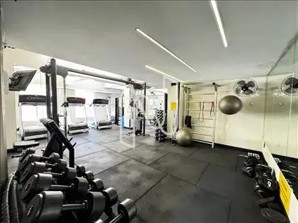 Academia