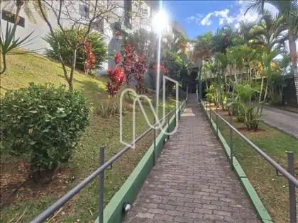 Entrada social