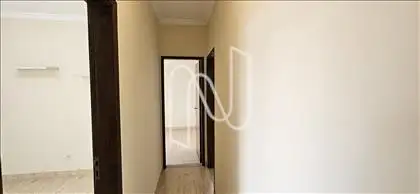 Circulação