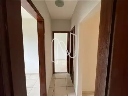  Circulação