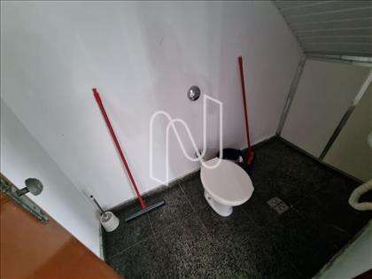 Banho Social da Loja 