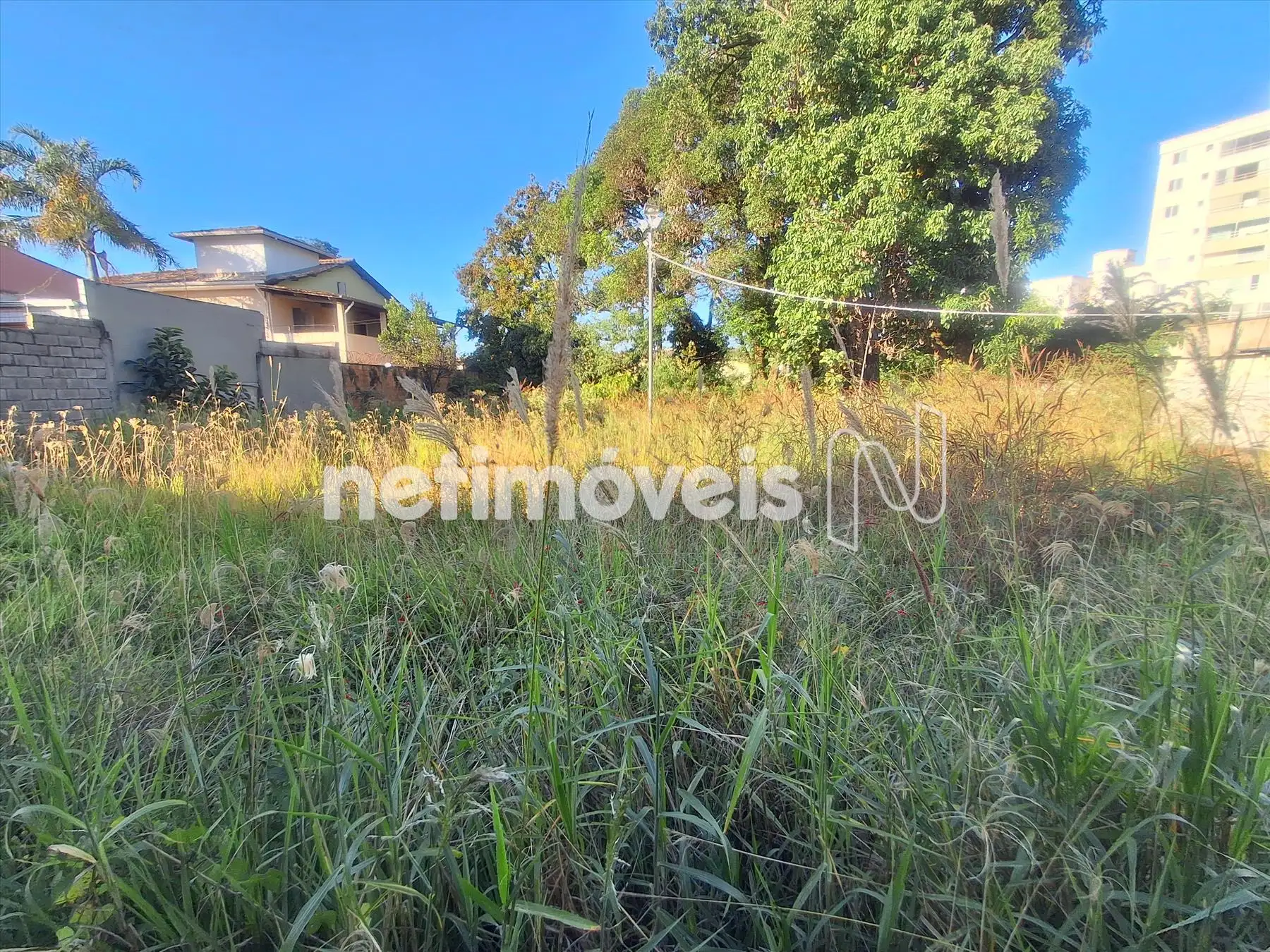 Lote (Fundos)