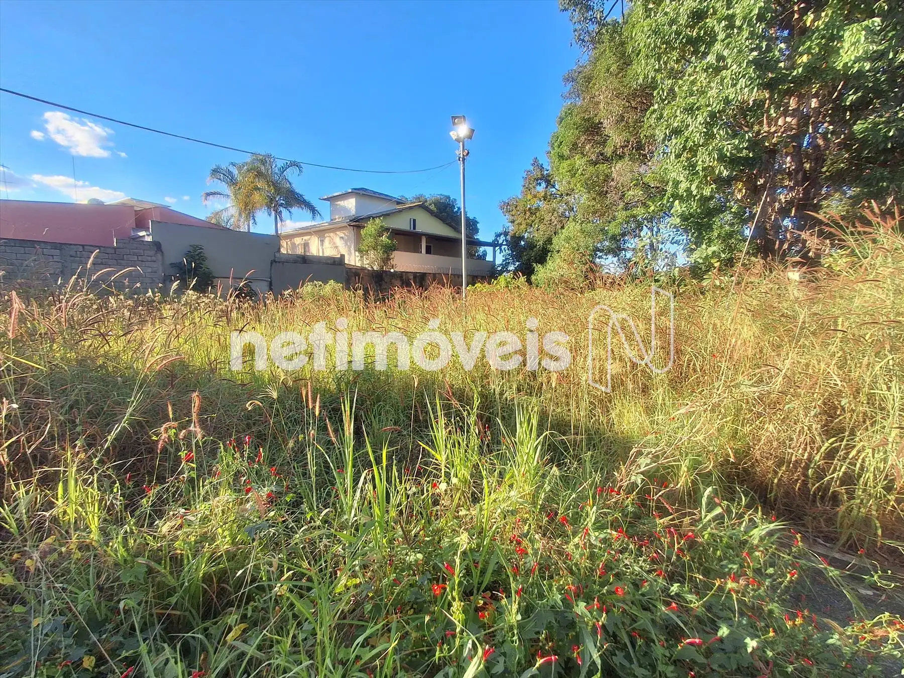 Lote (Fundos)