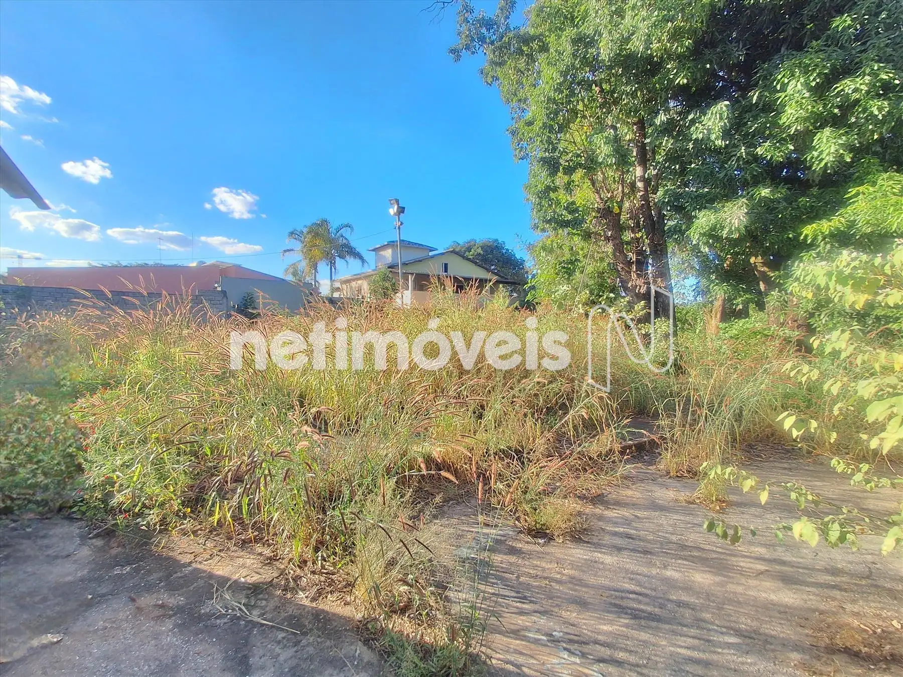 Lote (Fundos)