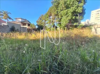 Lote (Fundos) 