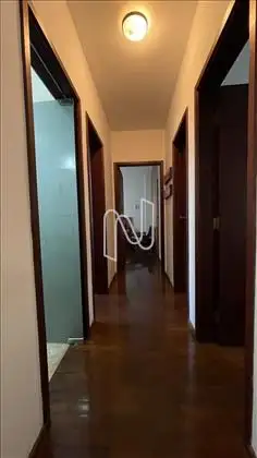 circulação