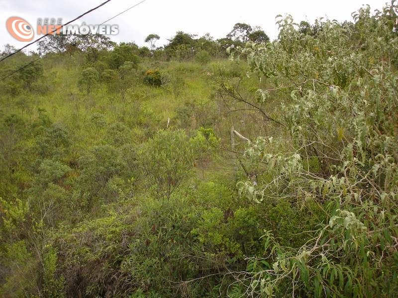 Vista frontal do lote