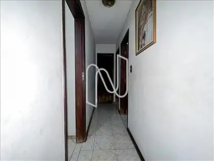  Circulação 