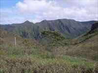 Lote