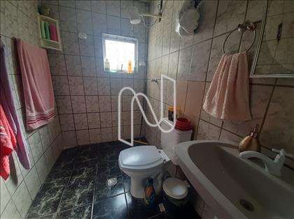banho Social 