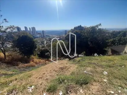 Lote